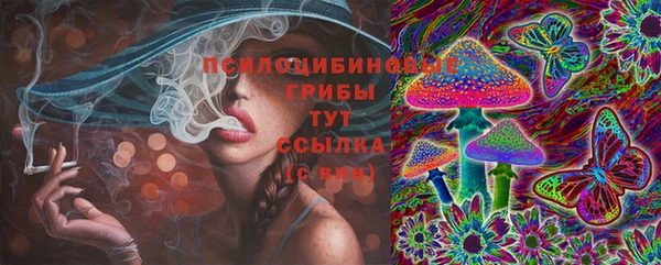 трава Балахна