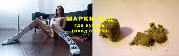 трава Балахна