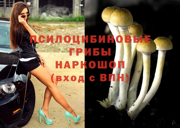экстази Баксан