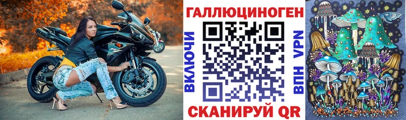 Галлюциногенные грибы Cubensis  где можно купить наркотик  Ленск 